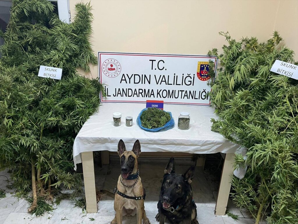 Aydın'daki uyuşturucu operasyonunda 1 kişi gözaltına alındı