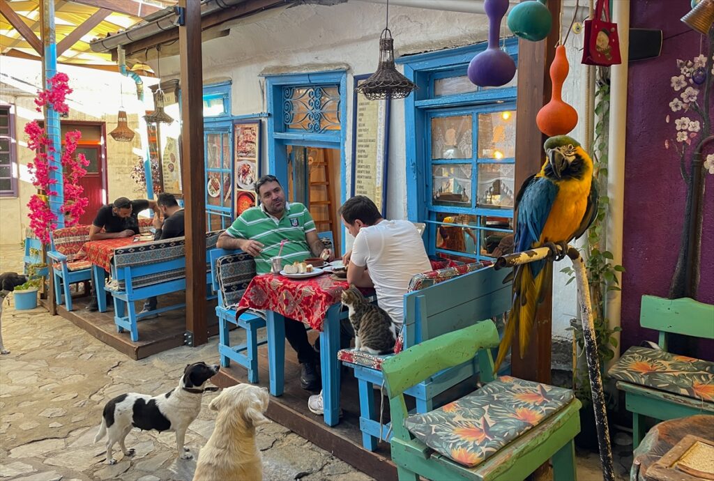 “Dünyanın En İyi Turizm Köyleri” listesine giren Şirince, daha fazla ziyaretçi çekmeyi hedefliyor