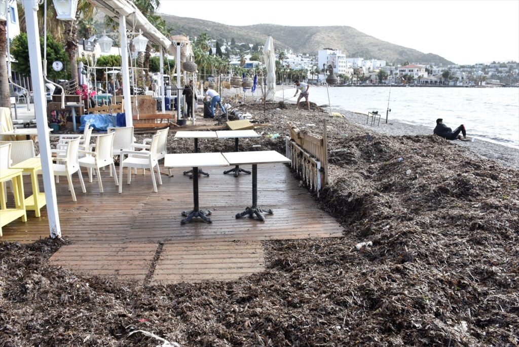 Bodrum’da kuvvetli rüzgarın ardından sahilde temizlik çalışması yapıldı