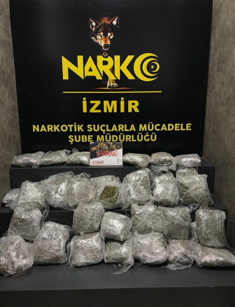 İzmir'de kamyonette uyuşturucu ele geçirilmesiyle ilgili bir zanlı tutuklandı