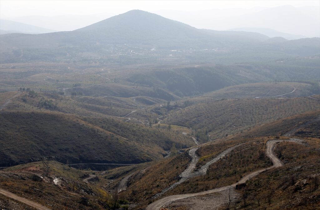 Muğla’da 2 yıl önce yanan ormanlar yeniden yeşeriyor