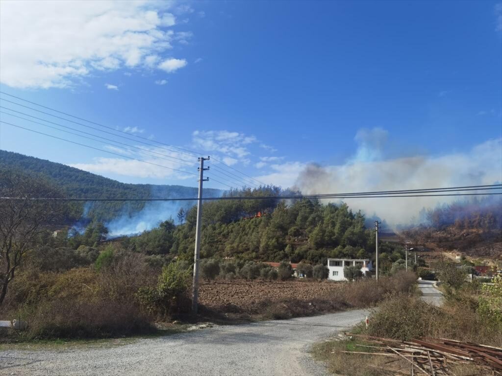 Muğla'da orman yangını başladı