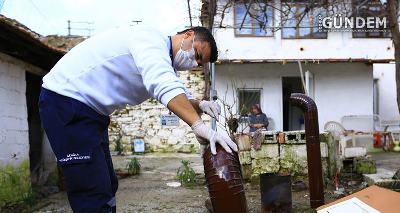 Büyükşehir Kırsaldaki Çınarların Yanında