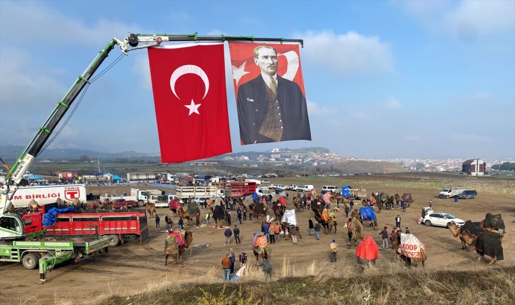 Alaşehir'de deve güreşi şenliği yapıldı
