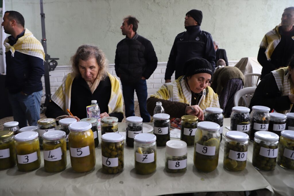 Gölbaşı Karagöl Zeytin Kültür ve Sanat Festivali, yapıldı