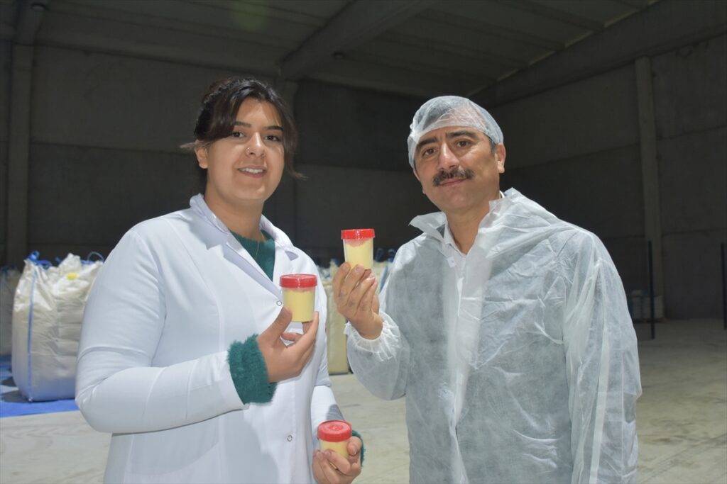 Kırık veya tarihi geçmiş yumurtalar akvaryum balıklarının yemine katkı maddesi oluyor