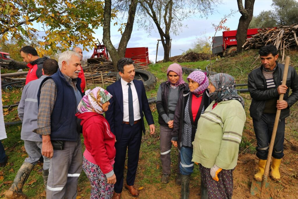 Muğla'da üreticilere 7 bin fidan dağıtıldı