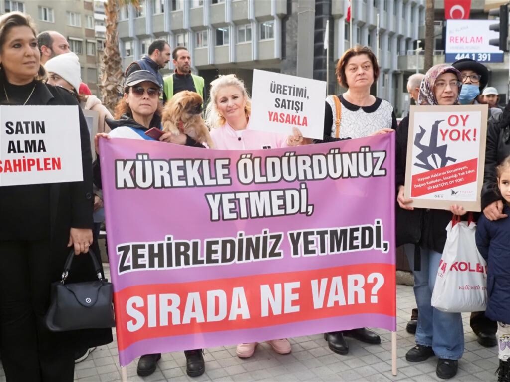 Nazilli'de hayvanseverlerden sahipsiz hayvanlarla ilgili açıklama
