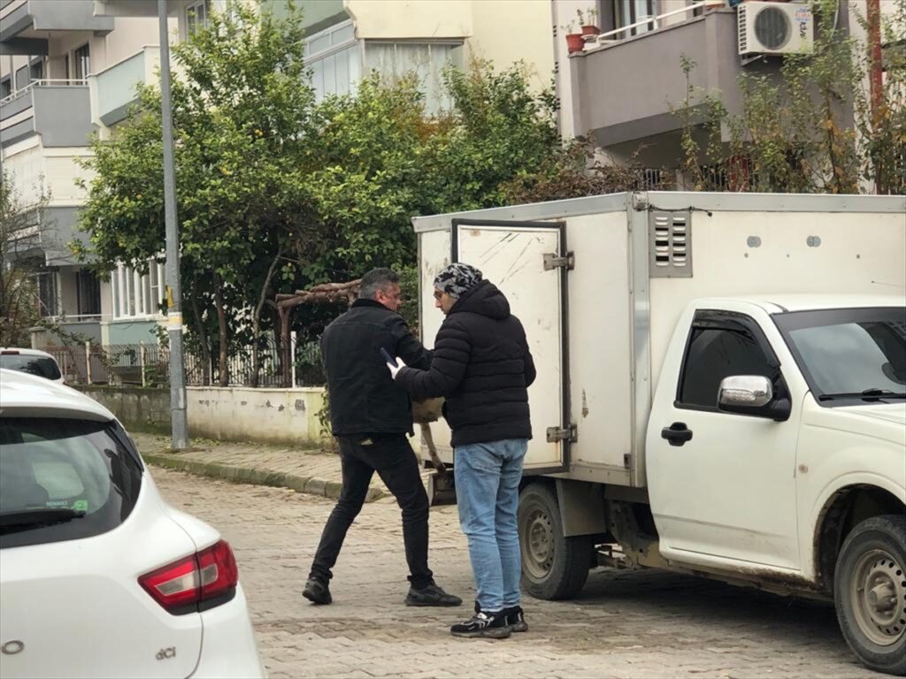 Nazilli'de sahipsiz köpeklerin zehirlenerek öldürüldüğü iddiası