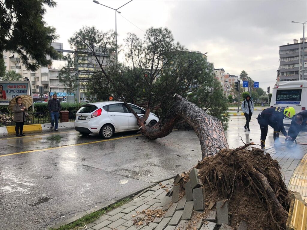 Nazilli’de üzerine ağaç devrilen minibüs ve otomobilde hasar oluştu