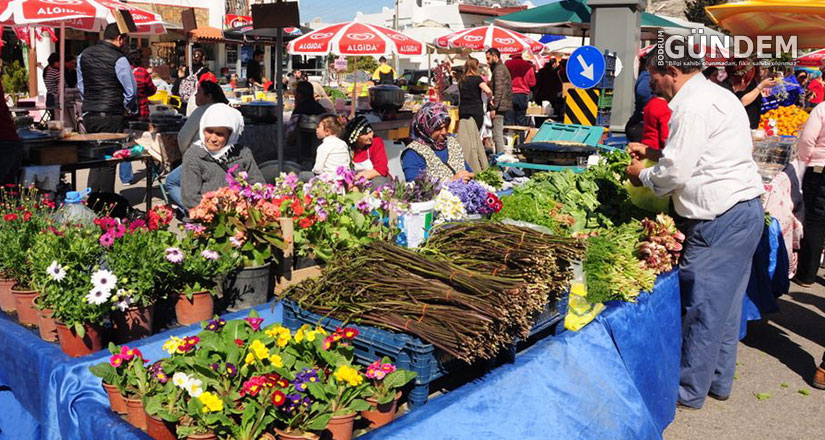5.Acı Ot Festivali ile Lezzet ve Şifa Şöleni