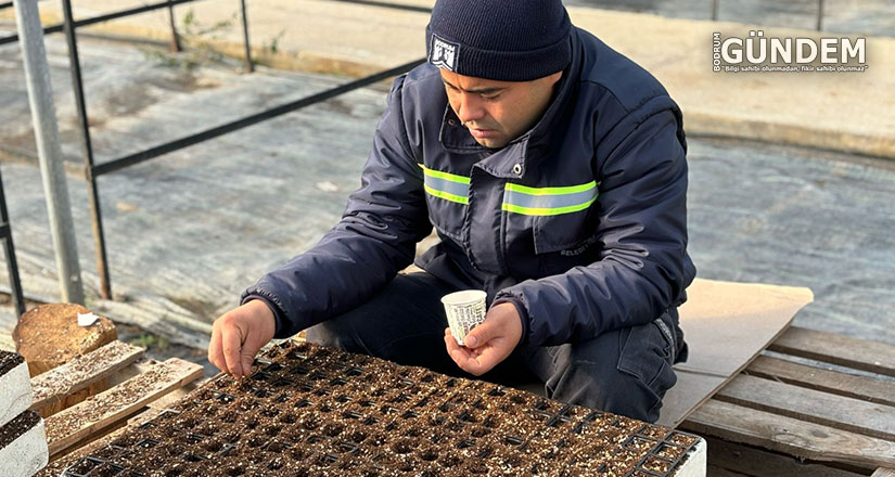 Yazlık Fideler İçin Üretim Devam Ediyor