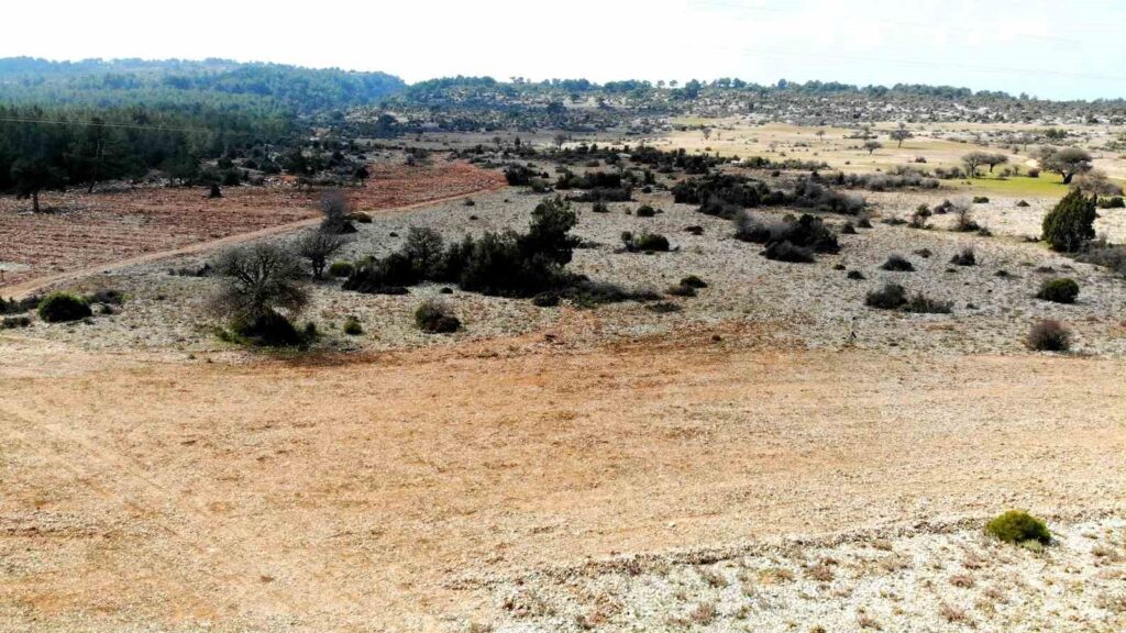 Muğla’nın yüksek kesimleri, bu yıl kar yüzü görmedi