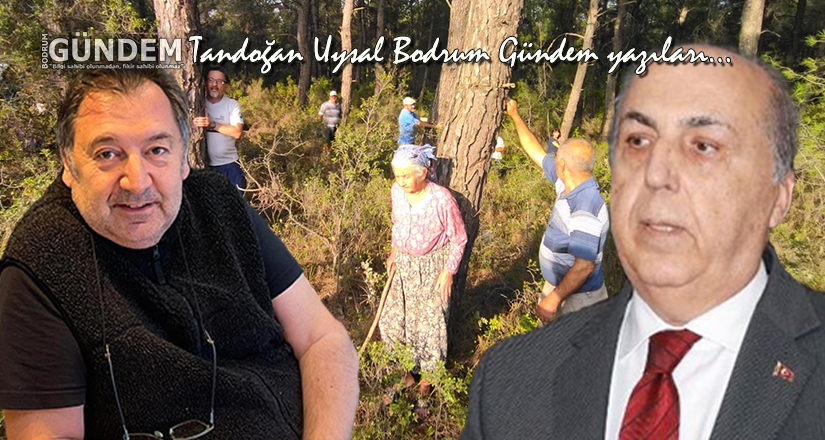 Aydın Ayaydın’dan Akbelen için bomba gibi bir açıklama