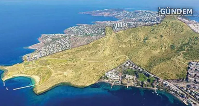 Koyları ranta ve talana açan her projenin karşısında duracağız