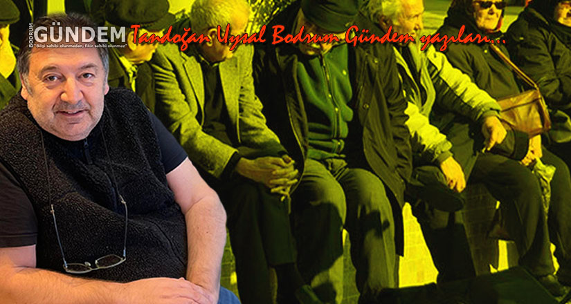 Yerel seçimler sayesinde sosyal devlet oluyoruz!