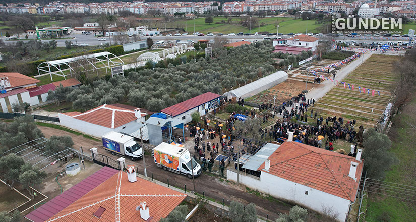 Büyükşehir Meyve Fidanı Dağıtımına Devam Ediyor