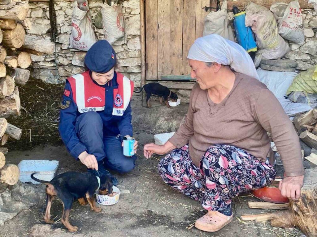 Jandarma’dan sokak hayvanları için ‘Bir gün değil, her gün’ mesajı