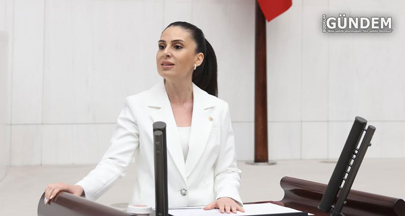 Havalimanı Arazisi Milas Belediyesi’nindir