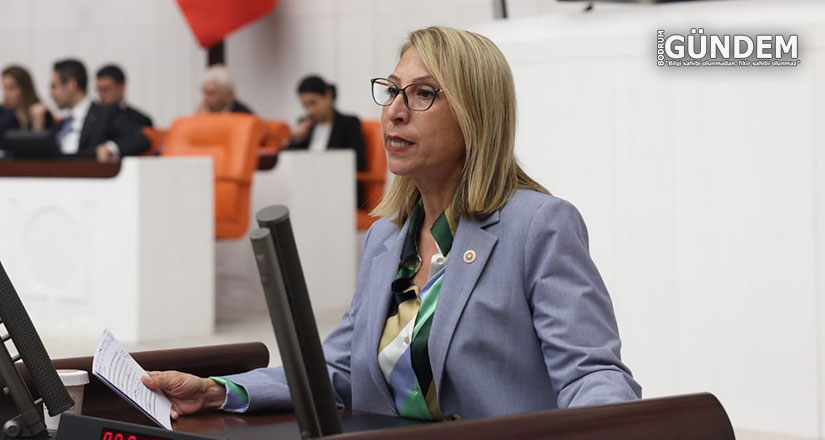 Muğla Milletvekili Süreyya Öneş Derici’den Belediyelerle İlgili Önerge