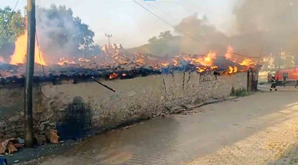 Korkutan yangın