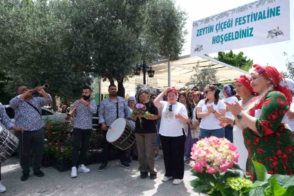 3. Zeytin Çiçeği Festivali Başlıyor