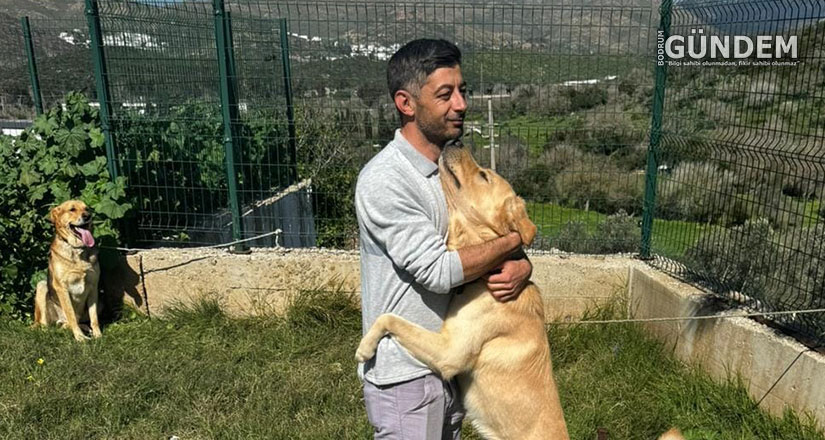 3 Bin 738 Sokak Hayvanına Müdahale