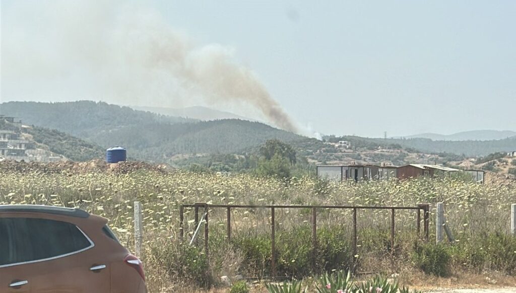 Meşelik’te Yangın