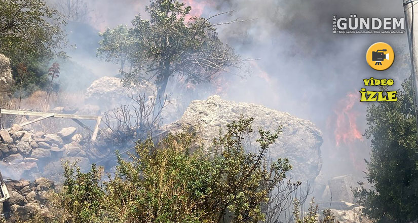 Bodrum’da makilik yangını