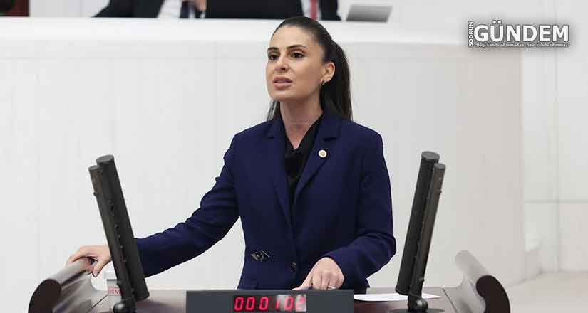 Basının susturulduğu yerde halk da susturulmuş olur
