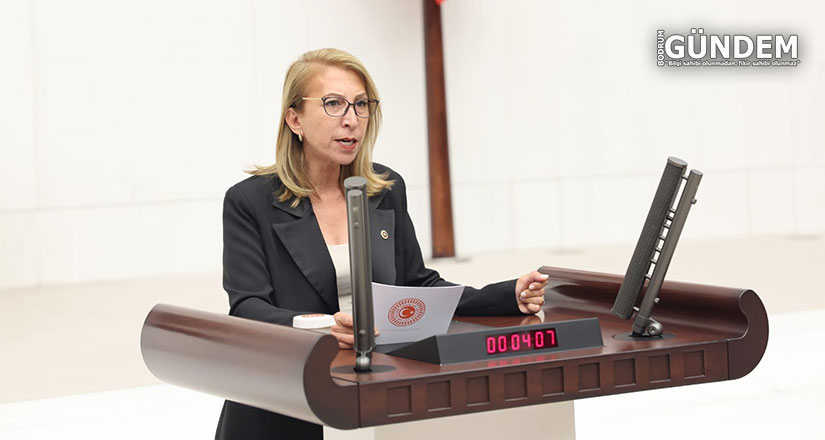 CHP’li Süreyya Öneş Derici’den Kadına Yönelik Şiddet Politikalarına Sert Eleştiri