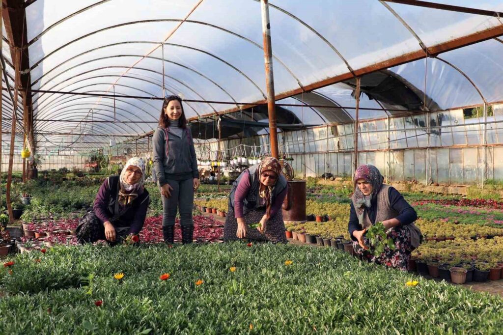 4 ilçede tarım market kuruluyor