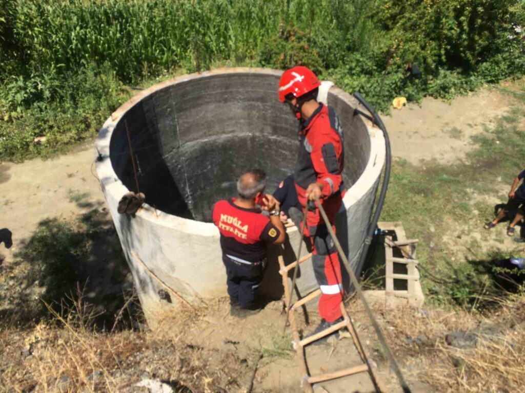 Serinlemek için girdiği su kuyusu sonu oldu