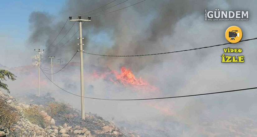 Bodrum’da korkutan yangın