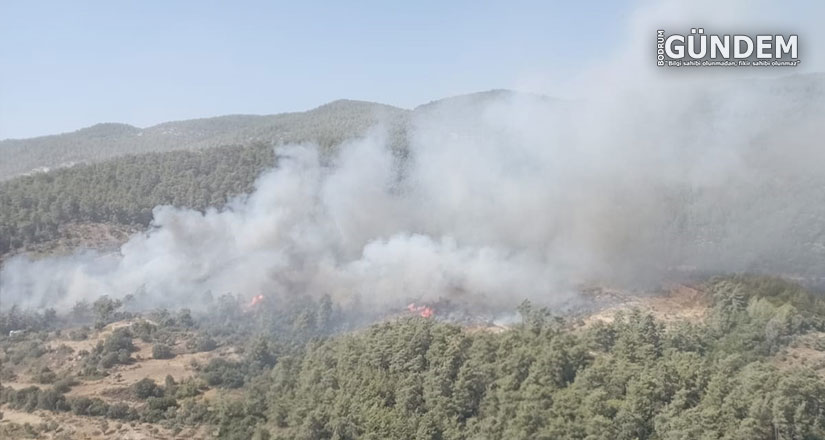 Milas Sekköy yangın