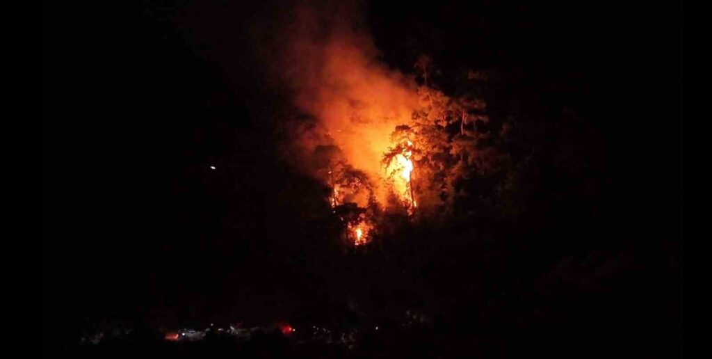 Bodrum Gölköy’deki orman yangını büyümeden söndürüldü