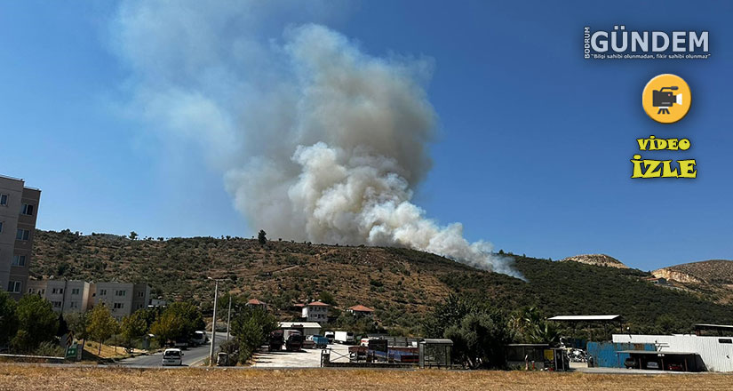 Milas’ta zirai alan yangını