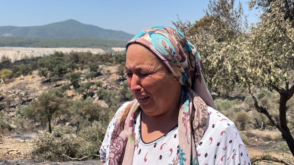 Milas’ta alevler yüzyıllık mirası yuttu; zeytinlikler kül oldu, gözyaşları sel