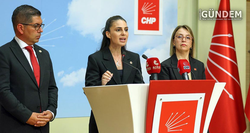 Laik ve bilimsel eğitimden giderek uzaklaştık