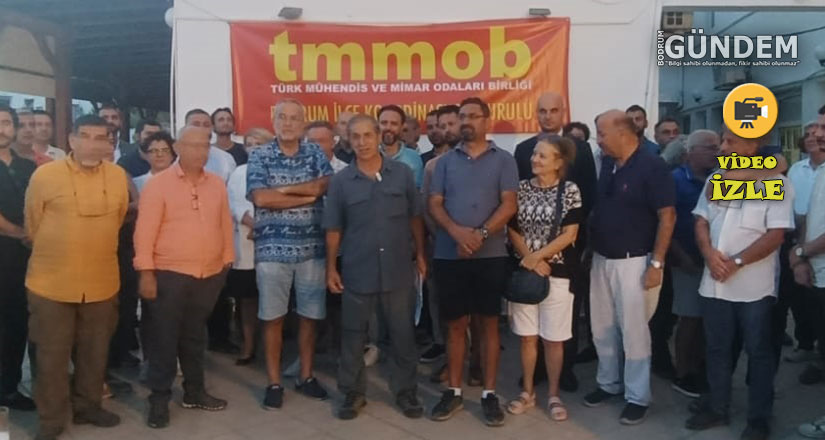 TMMOB Mühendis, Mimar ve Şehir Plancıları Dayanışma Günü