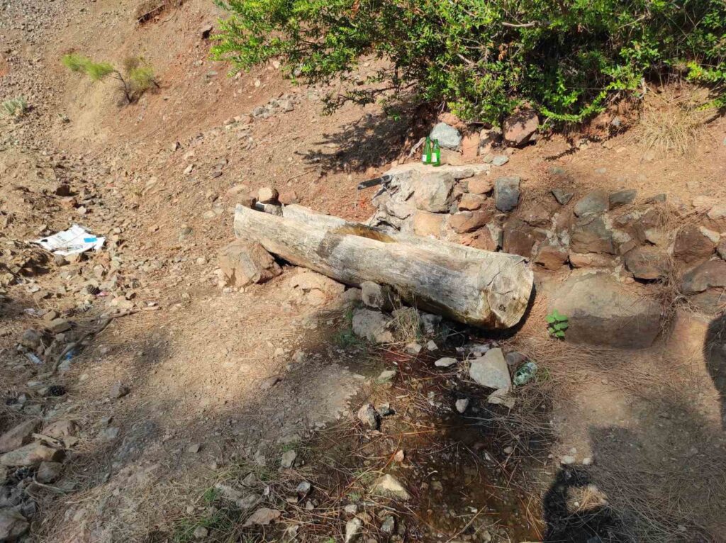 Ormanda terk edilmiş bebek bulundu