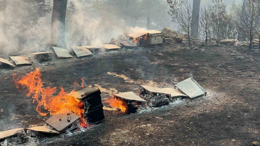 Büyükşehir’den yangından etkilenen arıcılara destek