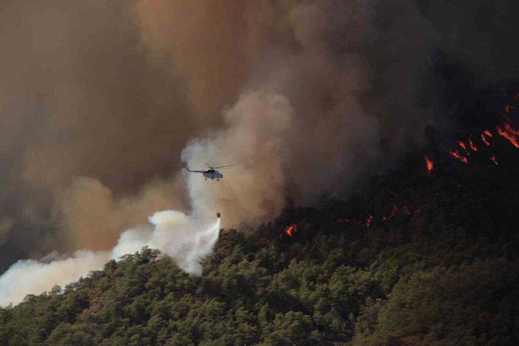 385 orman yangınında bin 148 hektar alan yandı