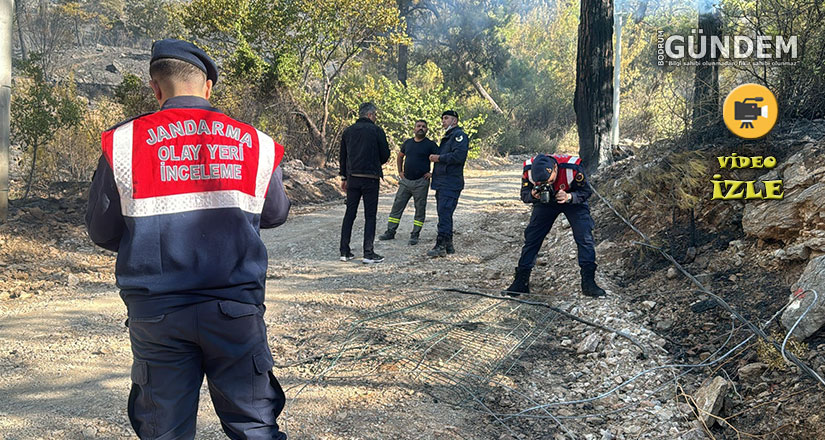 Asker ve itfaiye sahaya indi, yangının çıkış noktası ve sebebi araştırılıyor