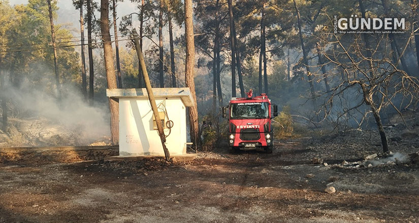 Büyükşehir Orman Yangınlarında Tüm Gücüyle Sahada