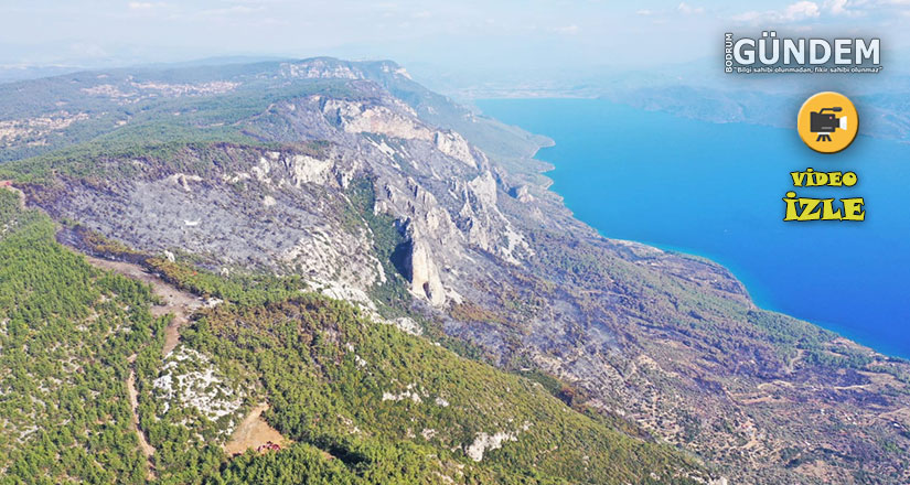 Menteşe’deki orman yangını kontrol altına alındı