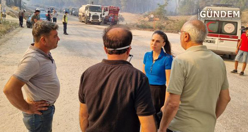 Muğla’da son 10 yılda yaklaşık 80 bin futbol sahası büyüklüğünde orman alanı kül oldu