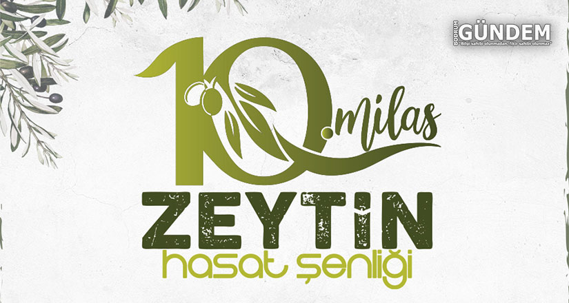 10.Milas Zeytin Hasat Şenliği İçin Geri Sayım Başladı