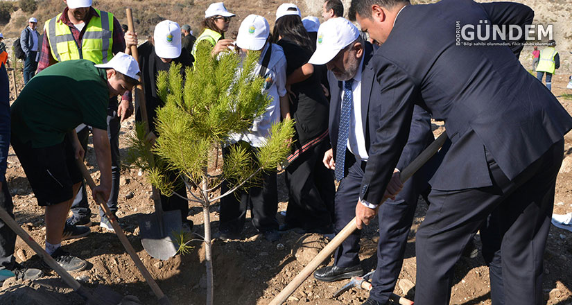 511 Hektar Doğaya Kazandırılıyor