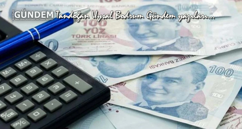 Asgari Ücrete İsveç Modeli Öneriyorum